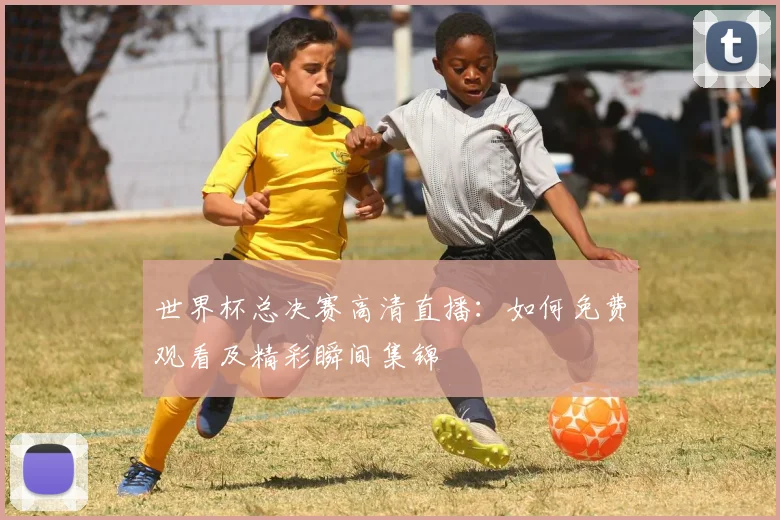 世界杯总决赛高清直播：如何免费观看及精彩瞬间集锦